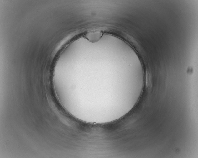 X0000113090483200909182118