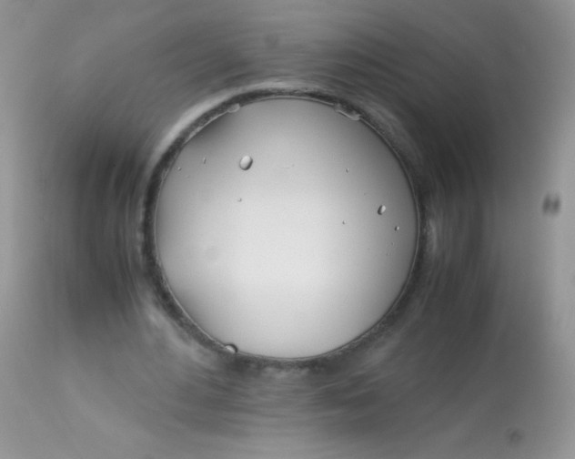 X0000113090484200909182118