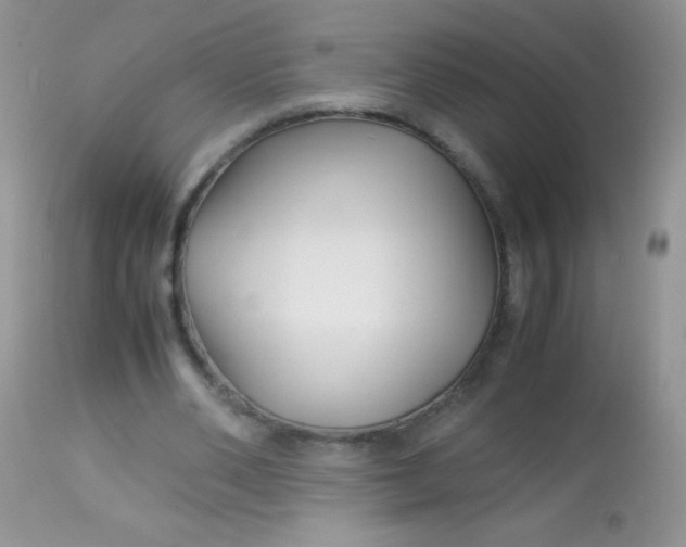 X0000113090486200909182118