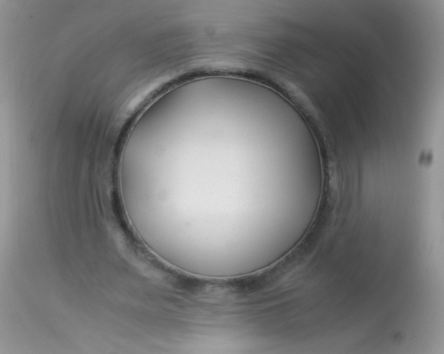 X0000113090487200909182118