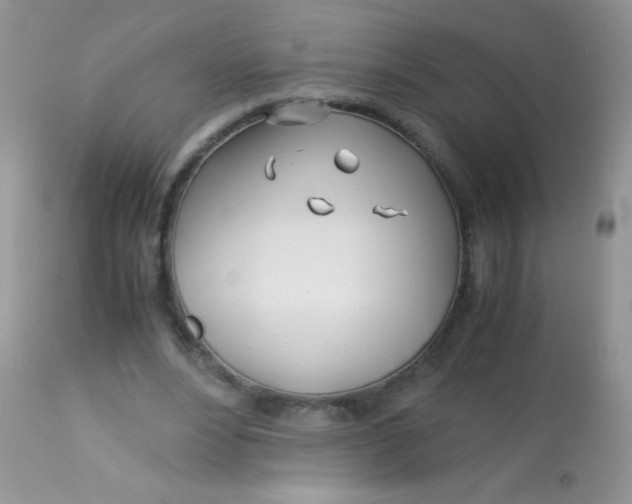 X0000113090488200909182118