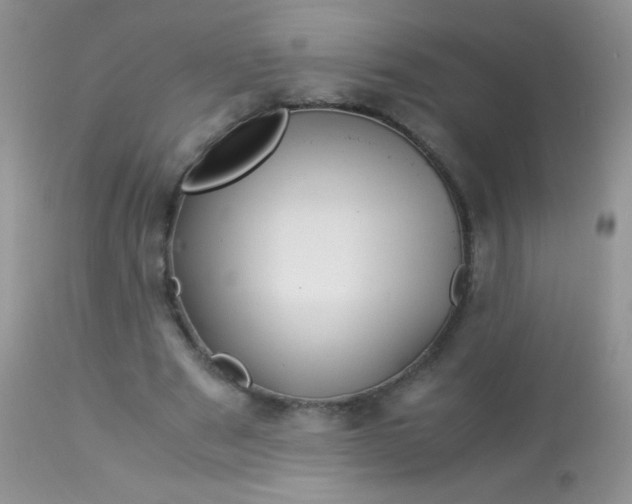 X0000113090489200909182118