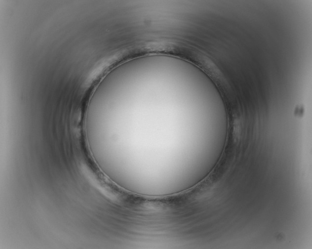 X0000113090490200909182118