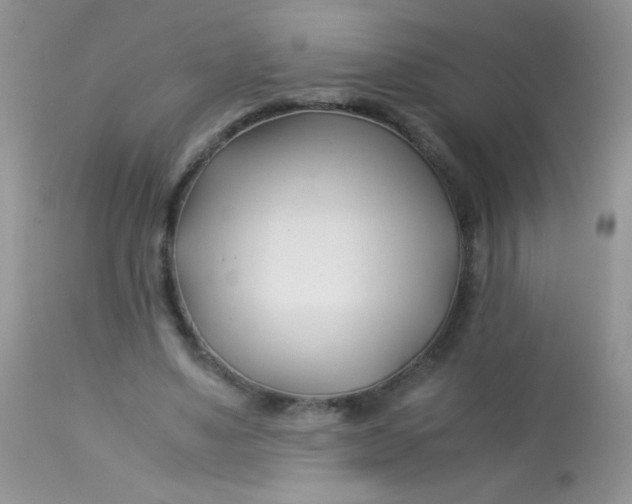 X0000113090491200909182118