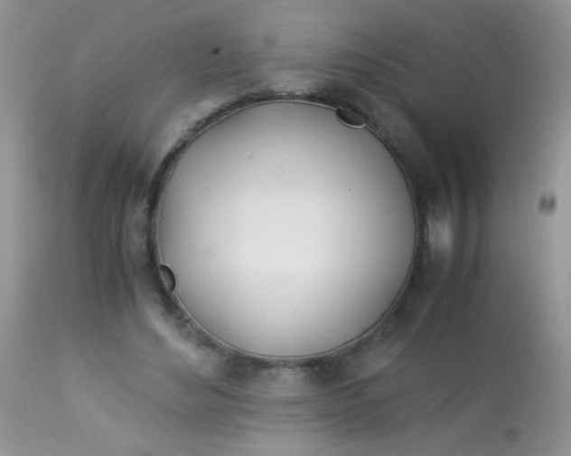 X0000113090492200909182118