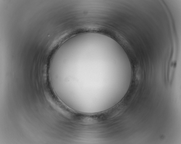 X0000113090494200909182118