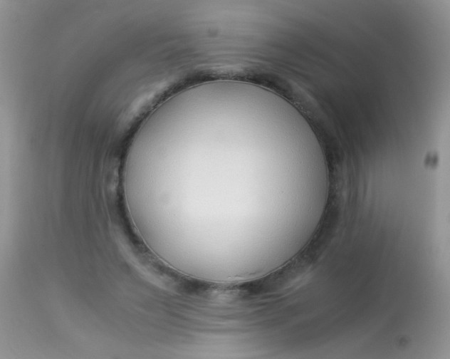 X0000113090495200909182118