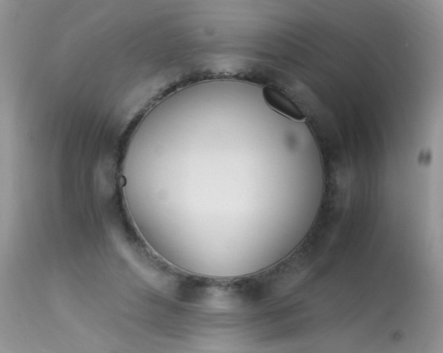 X0000113090496200909182118