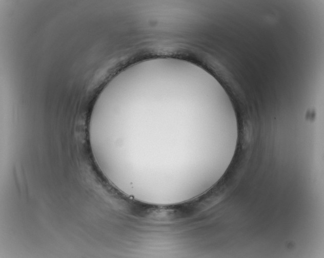 X0000113090497200909182118