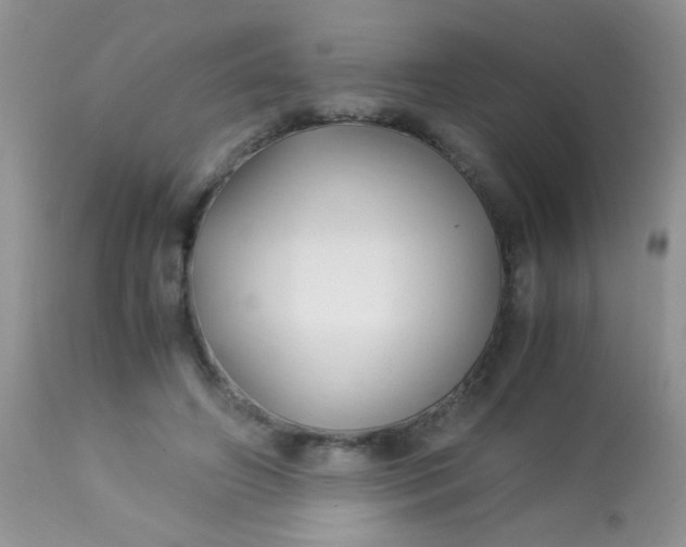 X0000113090498200909182118