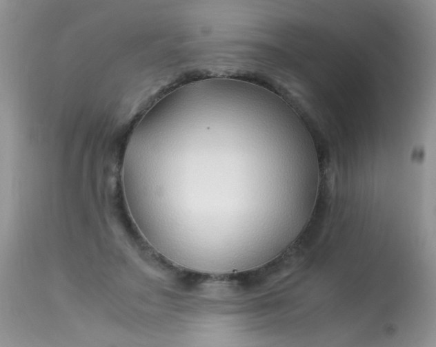 X0000113090499200909182118