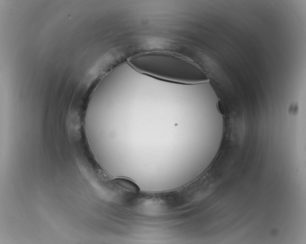 X0000113090500200909182118