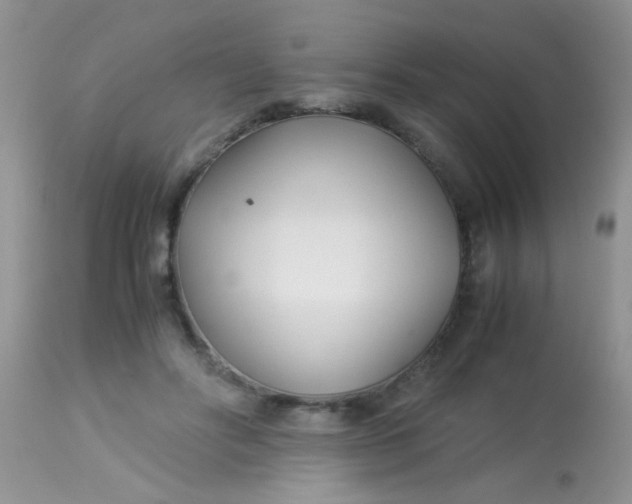 X0000113090502200909182118