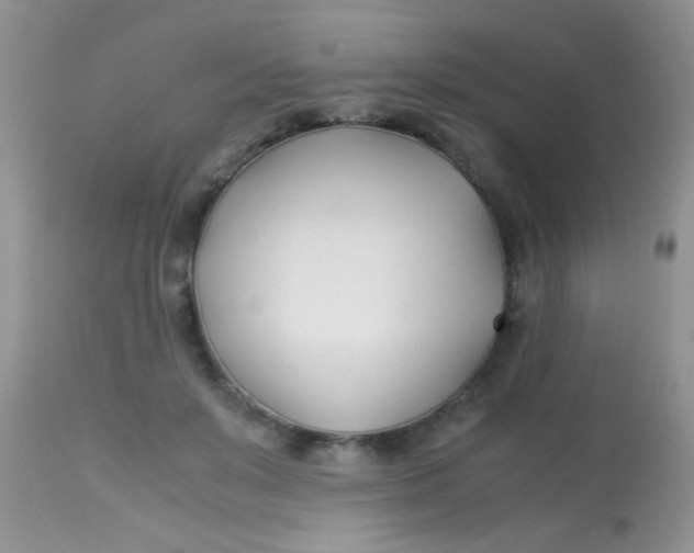 X0000113090503200909182117