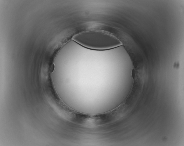 X0000113090504200909182117