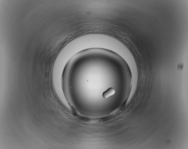 X0000113090505200909182117