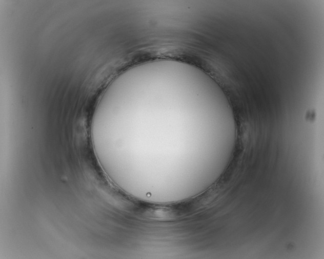 X0000113090506200909182117