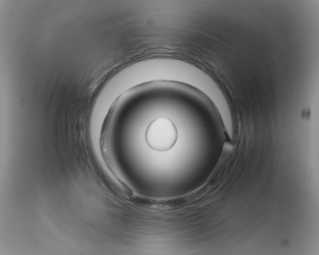 X0000113090508200909182117