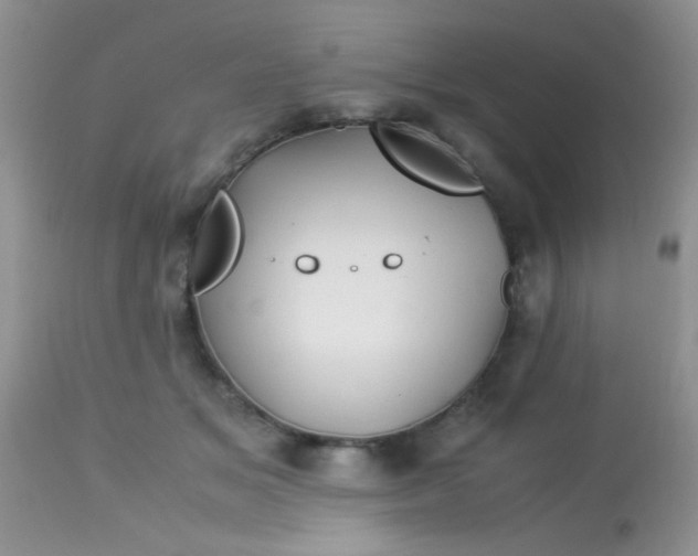 X0000113090509200909182117