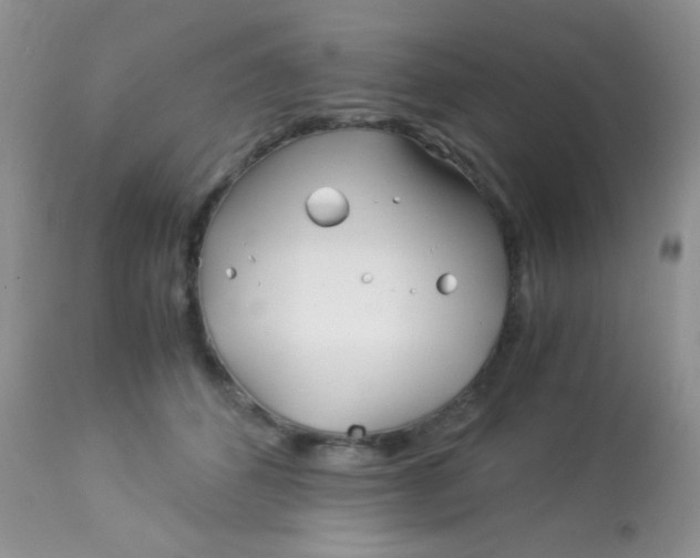 X0000113090512200909182117