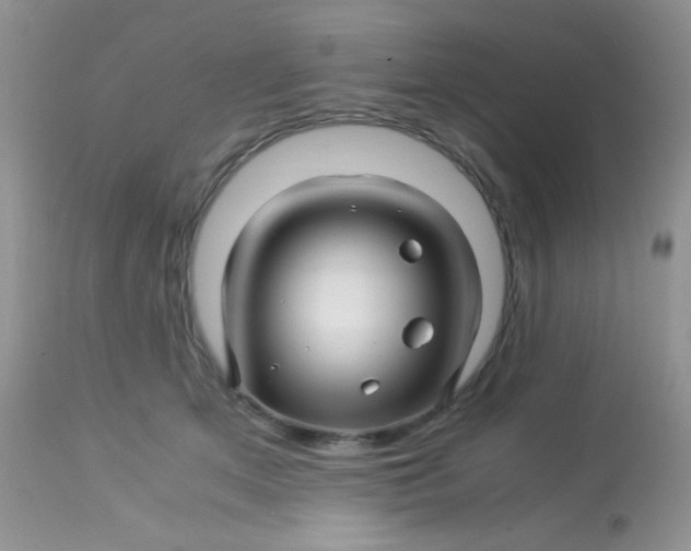 X0000113090513200909182117