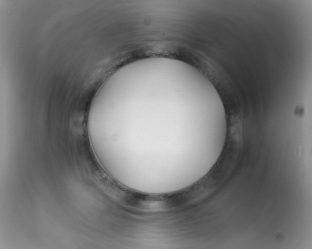 X0000113090514200909182117