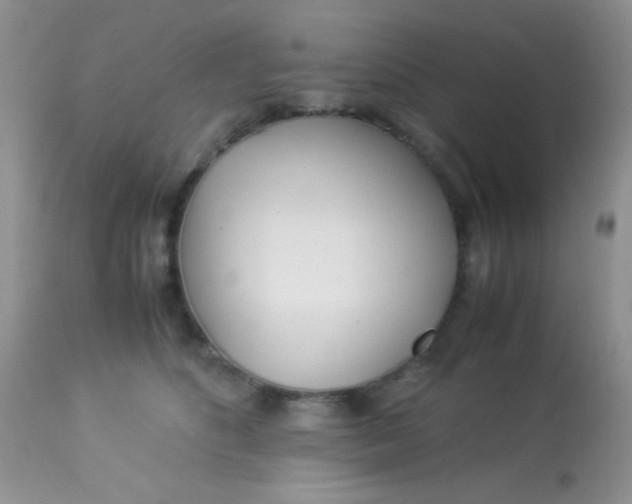 X0000113090516200909182117