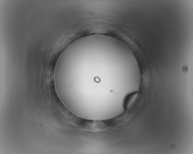 X0000113090517200909182117