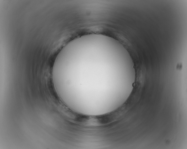 X0000113090518200909182117