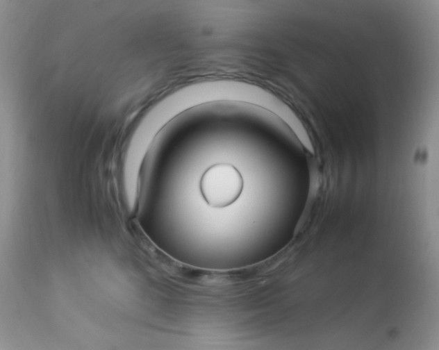 X0000113090520200909182117