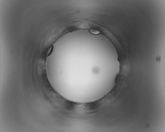 X0000113090521200909182117