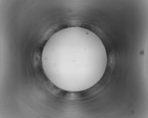 X0000113090522200909182117