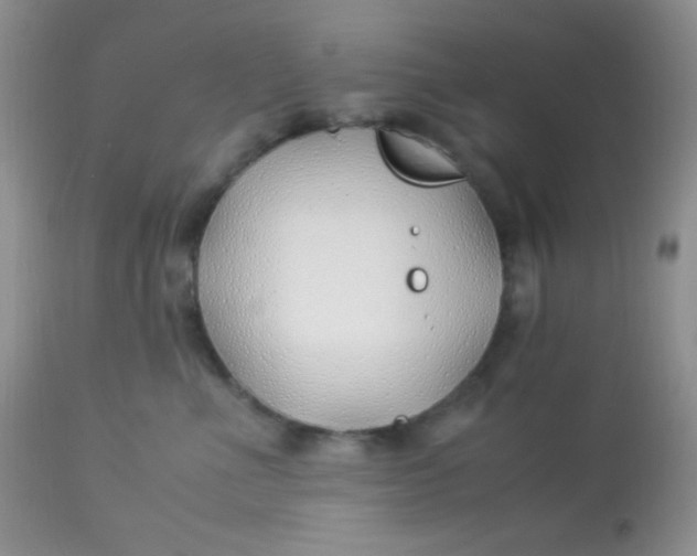 X0000113090523200909182117