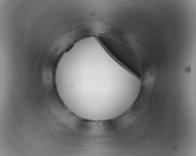 X0000113090524200909182117