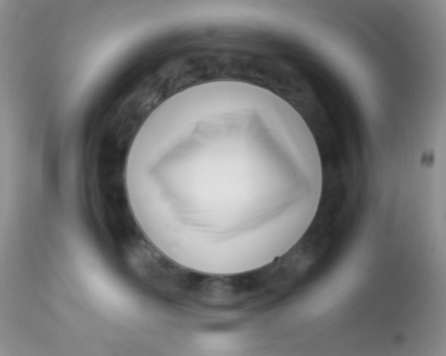 X0000113090526200909182117