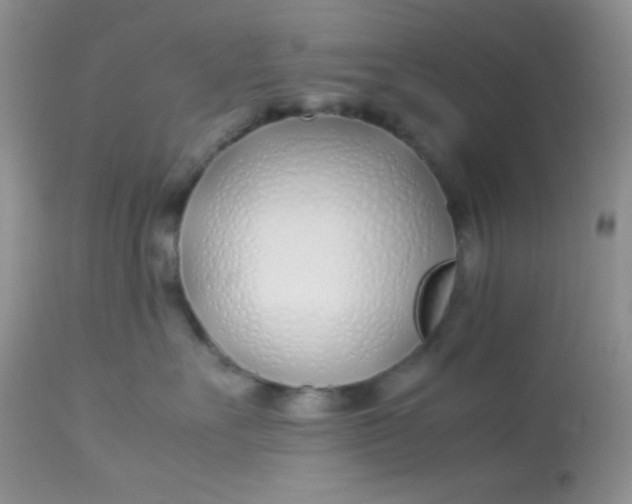 X0000113090527200909182117