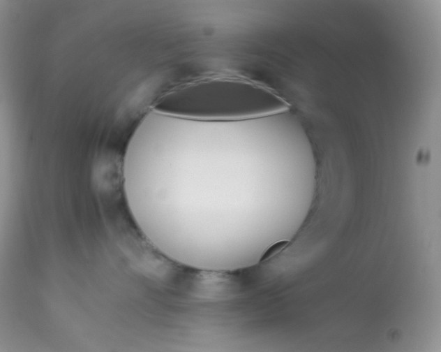 X0000113090528200909182117