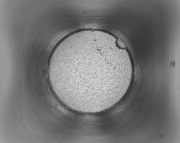 X0000113090529200909182116