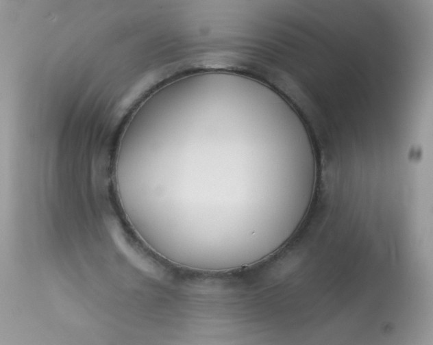 X0000113090530200909182116