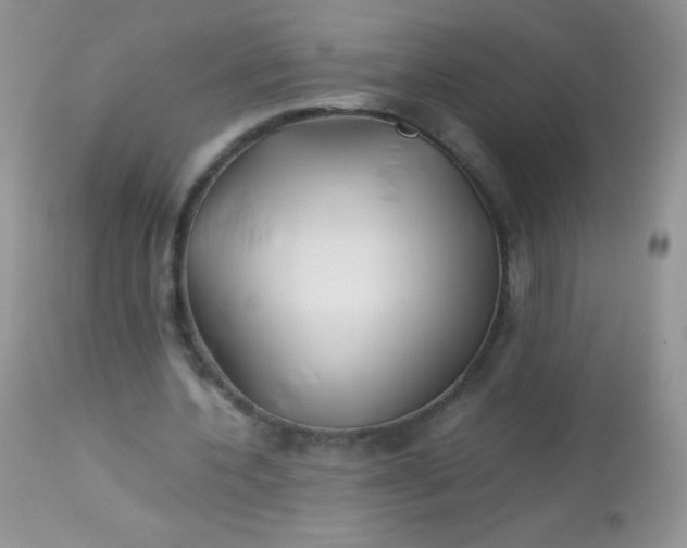 X0000113090532200909182116