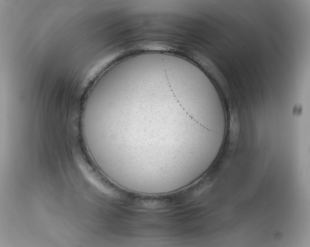 X0000113090533200909182116