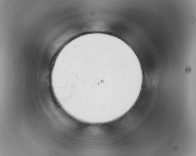 X0000113090534200909182116