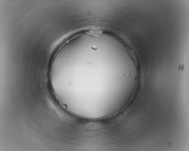 X0000113090536200909182116