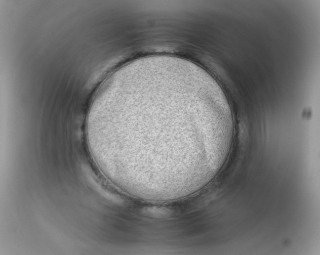 X0000113090537200909182116