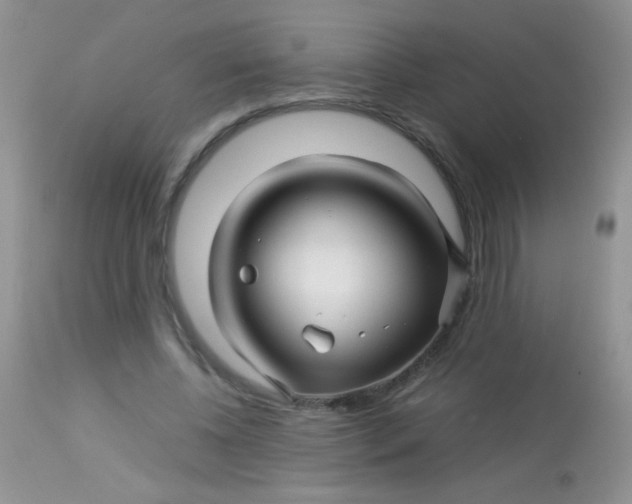 X0000113090540200909182116