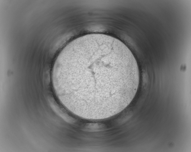 X0000113090541200909182116