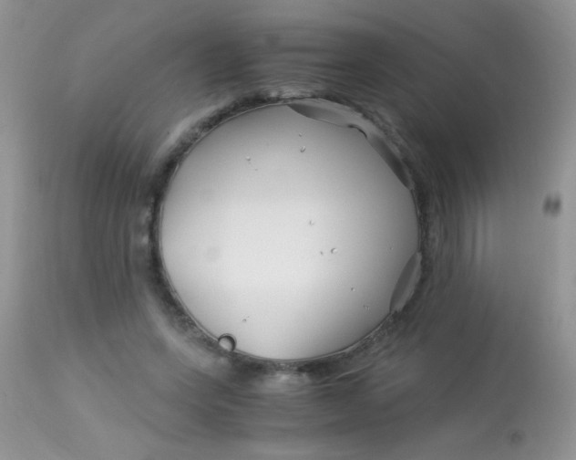 X0000113090543200909182116