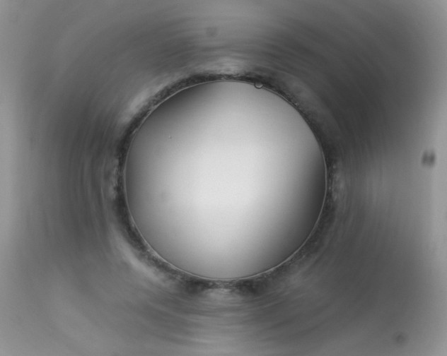 X0000113090544200909182116