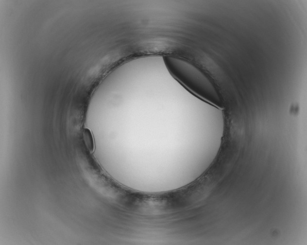 X0000113090546200909182116