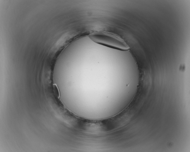 X0000113090548200909182116